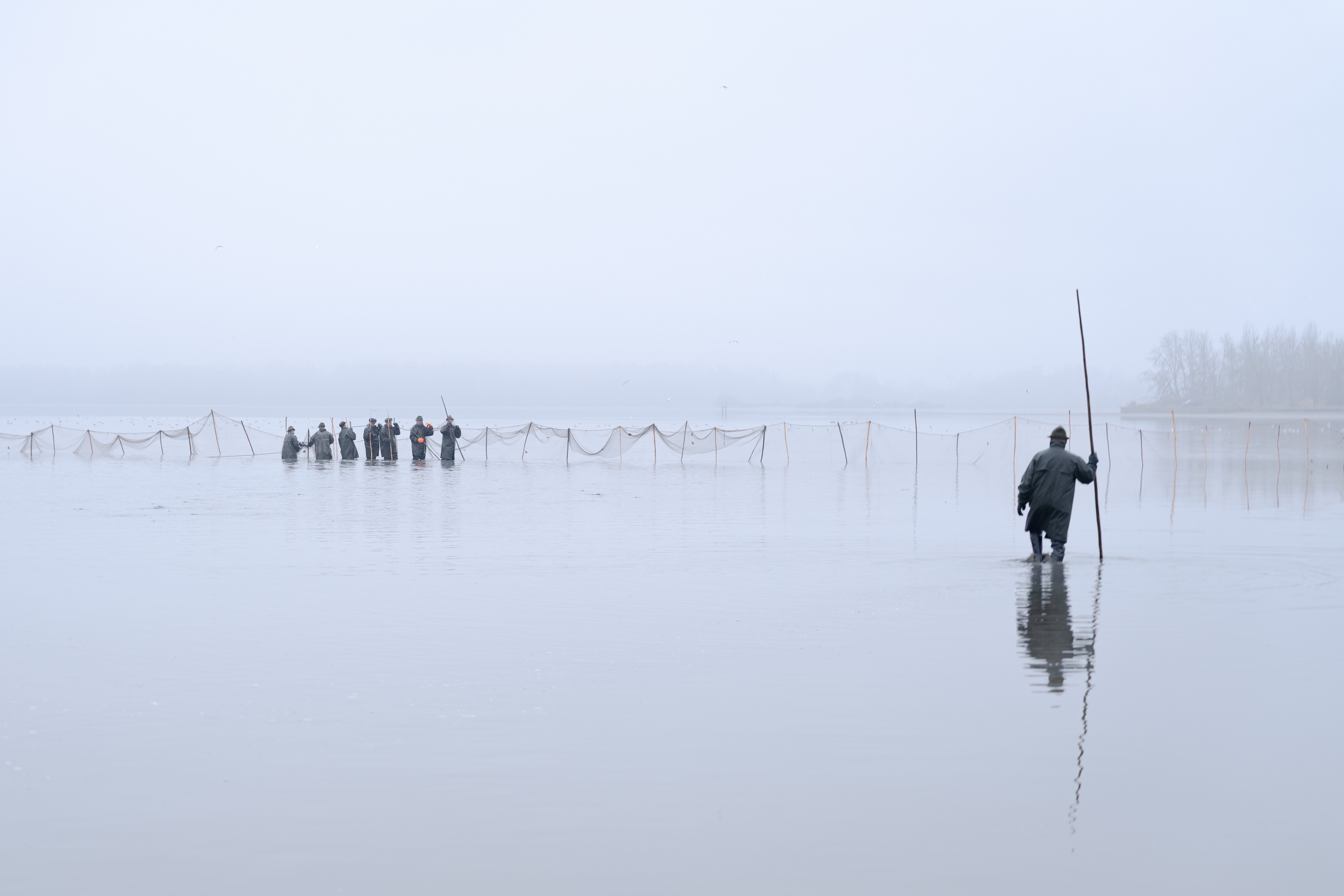 Vylov Fish Harvest